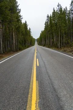 Highway Through a Forest Stock Photos