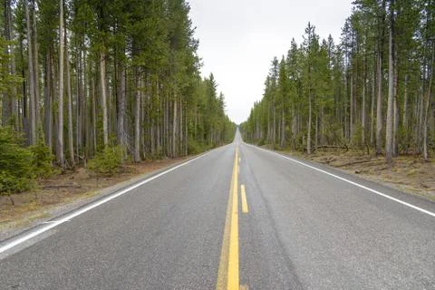 Highway Through a Forest Stock Photos
