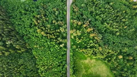 Highway through forest with pine trees and lakes, aerial view. Stock Footage 201293987