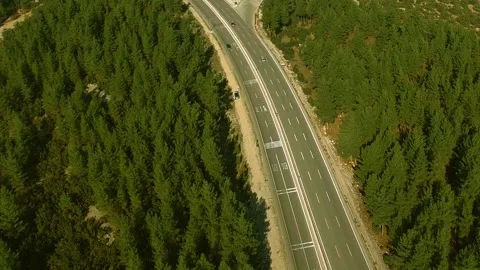 A Highway Through Pine Forest Drone Shot Stock Footage 146175554