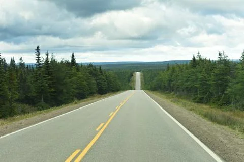 Highway through pine tree forest Stock Photos