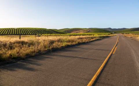 Highway through Rows of lush vineyards on a hillside, Napa Valley, California Stock Photos