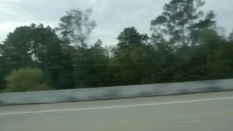 Highway Traffic and Trees Seen From Moving Vehicle 库存影片 343880741