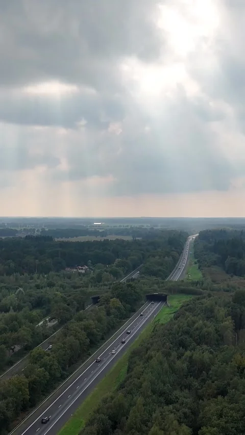 Highway traffic driving through a forest with ecoduct Video stock 327108418