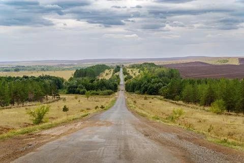 A highway with windbreaks running through fields in the countryside Stock Photos