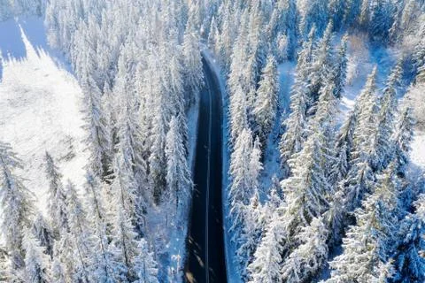 Highway in winter forest Stock Photos