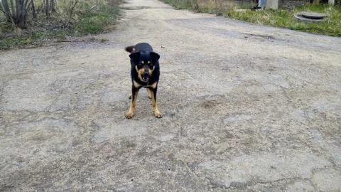 Highwayman Stock Photos