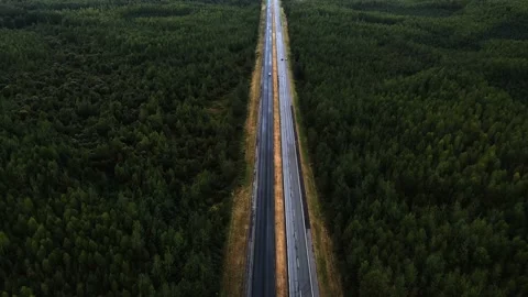 Highways through dense forest, drone shooting, view from the top Stock Footage 221091597