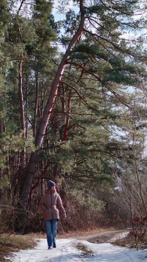 Hik Stock Footage 302271861