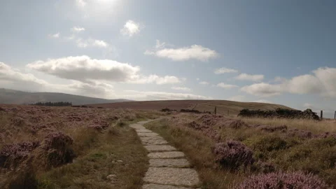 Hike along stone path by wall on a sunny day Stock Footage 161755663