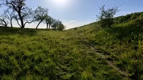 Hike along a very old path in Saxony-Anhalt, Germany. Stock Footage 153813397