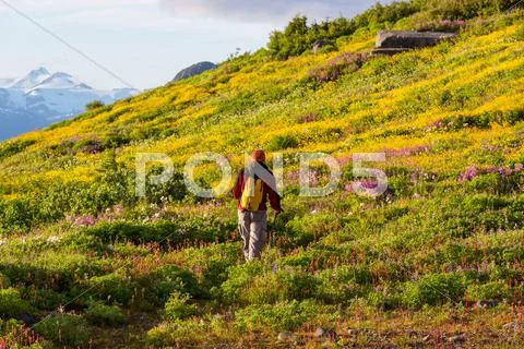 Hike in Canada Stock Photos