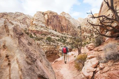 Hike in Capitol Reef Stock Photos