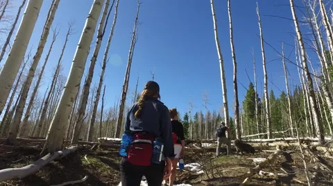Hike in Carbondale Stock Footage 66880409
