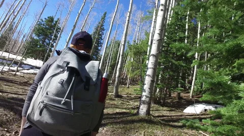 Hike in Carbondale Stock-Footage 66891938