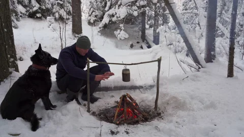 Hike with a dog in the winter forest Vidéo 146571946