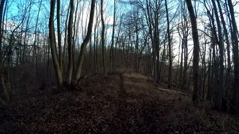 A hike in the forest Stock Footage 145688961