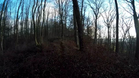 A hike in the forest Stock Footage 145689303