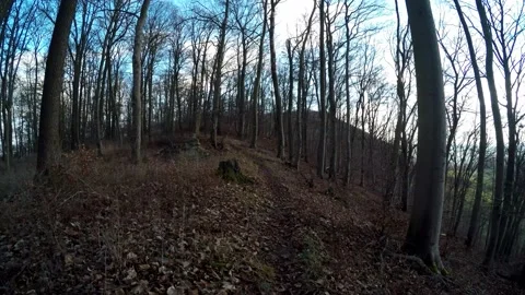 A hike in the forest Stock Footage 145689316