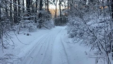 Hike in the forest(2022) Stock Footage 226950626