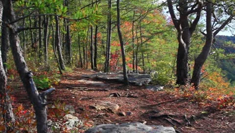 A hike in the gorge Stock Footage 8838793