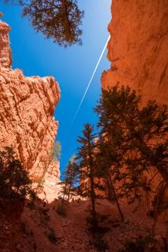 Hike inside Bryce canyon Stock Photos