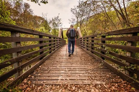 Hike man with backpack walking in forest nature outdors bridge. Stock Photos