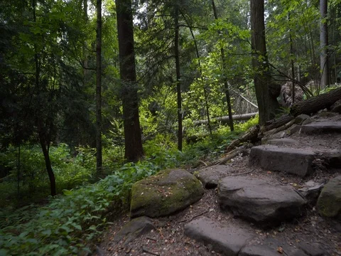 Hike over rocks and tree roots towards massive rock structure Stock Footage 82726767