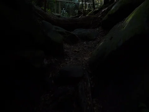 Hike up rough terrain to top of Ledges at Cuyahoga Valley National Park Stock Footage 82685358