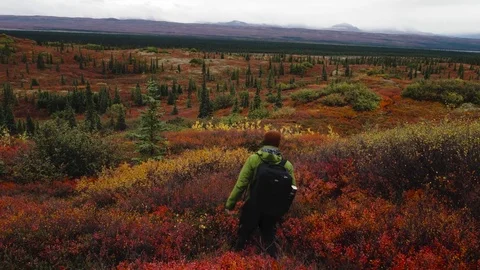 Hike into the tundra Stock Footage 82407105