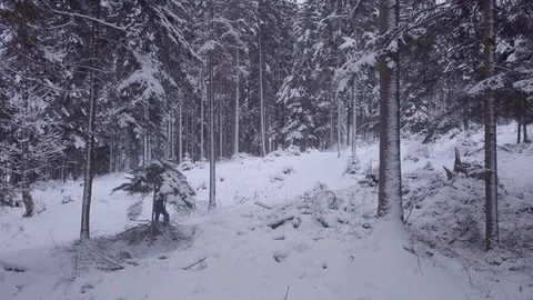 Hike in the Winter  Vídeo Stock 88708901