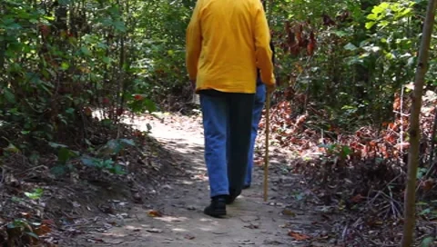 A hike in the woods Stock Footage 8666387