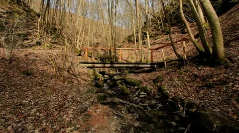 Hiker  1 Stock Footage 20466554