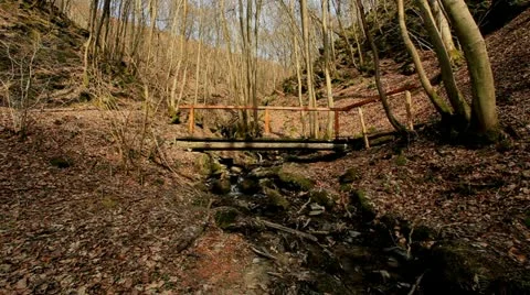 Hiker 2 Stock Footage 20466544