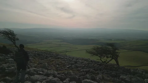 Hiker admiring view between two old trees with green patchwork fields at Stock Footage 233883823