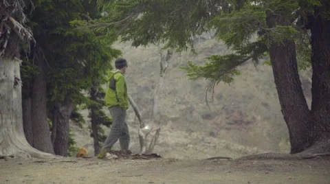 Hiker and dog walk together Stock Footage 59047570