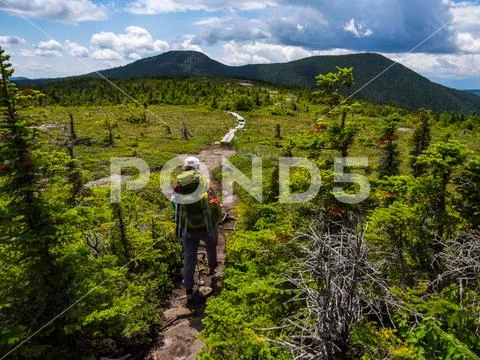 Hiker on Appalachian Trail in Maine, Lush Mountain Vista Stock Photos