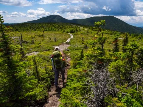 Hiker on Appalachian Trail in Maine, Lush Mountain Vista Stock Photos