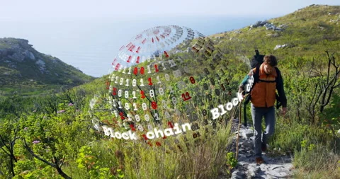 Hiker approaching blockchain sphere on trail, exploring data through rotating Stock Footage 315893710