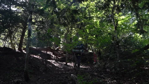 Hiker Ascending a Forest-Covered Hillside in the Wilderness Video stock 312763516