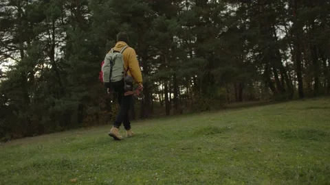 Hiker with backpack and equipment walking through forest. Stock Footage 220189058