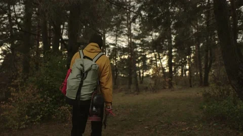 Hiker with backpack and equipment walking through forest. Stock Footage 220189086