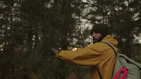 Hiker with backpack and equipment walking through forest. Stock Footage 220189091