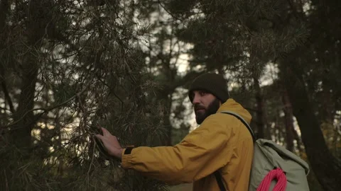 Hiker with backpack and equipment walking through forest. Stock Footage 220189097