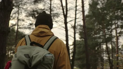 Hiker with backpack and equipment walking through forest. Stock Footage 220189125