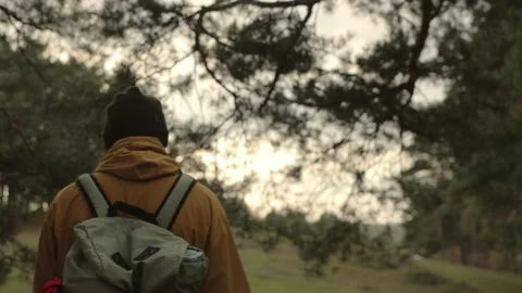 Hiker with backpack and equipment walking through forest. Stock Footage 220189149