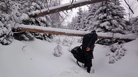 Hiker With Backpack Crawling And Ducking Under Fallen Snowy Tree Log Stock Footage 336496541
