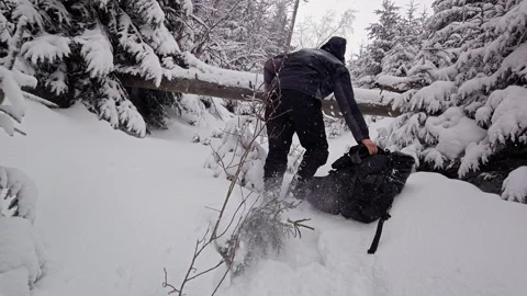Hiker With Backpack Crawling And Ducking Under Fallen Snowy Tree Log Stock Footage 336496893