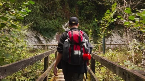 Hiker with backpack Stock Footage 153382578