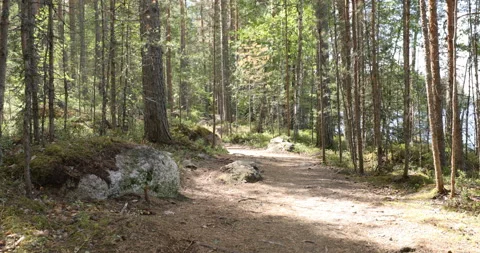 Hiker with backpack on a footpath Video stock 100812418